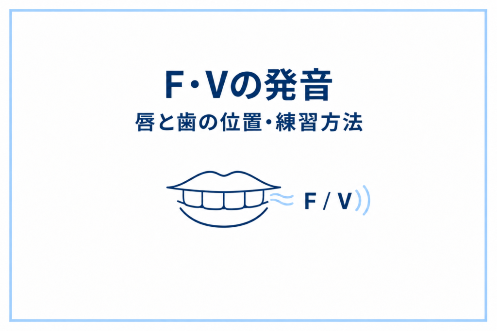 FとVの発音を練習しよう｜歯と唇の位置・2つの音の違いを解説