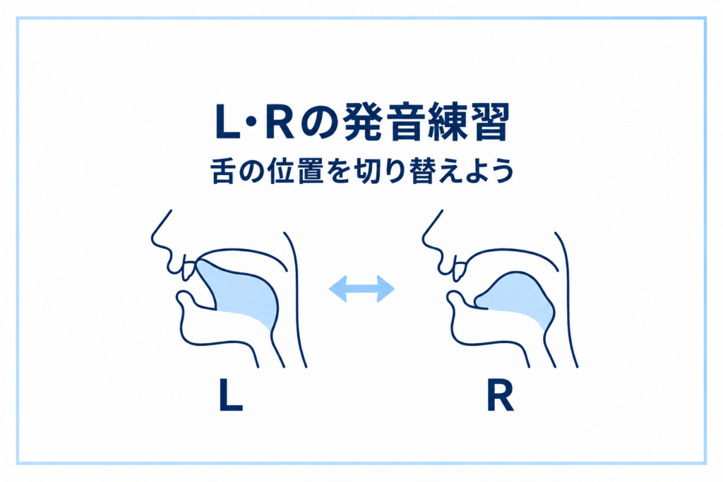 LとRの発音を交互に練習｜舌の位置を切り替えて発音しよう